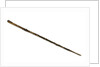 Walking stick by unknown