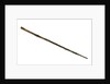Walking stick by unknown