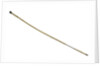 Walking stick by Unknown