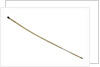 Walking stick by Unknown