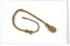 Bellrope by unknown