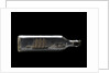 Ship model in a bottle by unknown