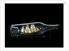 Ship model in a bottle by unknown