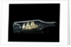Ship model in a bottle by unknown