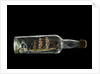 Ship model in a bottle by Robert Orr