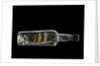 Ship model in a bottle by Robert Orr