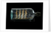 Ship model in a bottle by Robert Orr