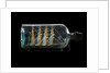 Ship model in a bottle by Robert Orr