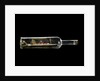 Ship model in a bottle by Robert Orr