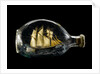 Ship model in a bottle by Dr Mark Lester