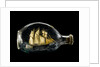 Ship model in a bottle by Dr Mark Lester