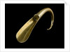 Shoe horn by William George Solkhon