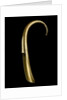 Shoe horn by William George Solkhon