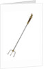 Toasting fork by Albert Edward Jew