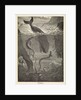 Frontispiece of Jules Verne's 'Twenty Thousand Leagues Under The Sea' by Alphonse-Marie-Adolphe de Neuville