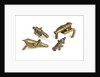 Akan gold weights by unknown