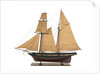Yacht 'Flora', port broadside by unknown