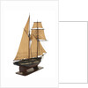 Yacht 'Flora', starboard stern quarter by unknown