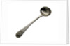 Admiralty pattern salt spoon by John Samuel Hunt