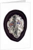 Arm badge (brassard) won at the Eastern Thames Regatta 1902, attached to sleeve of prize coat by D.G.C.