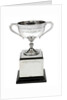 Worcester' v 'Conway' boat race trophy by W. Neale & Sons Ltd.