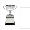 Worcester' v 'Conway' boat race trophy by W. Neale & Sons Ltd.