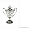 Bogus cup and cover said to have been owned by Lord Nelson by Ann Bateman