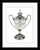 Bogus cup and cover said to have been owned by Lord Nelson by Ann Bateman