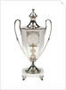 Silver tea-urn presented to Captain Nicholas Tomlinson (1764-1847) by the Royal Exchange Assurance, 1796 by Robert Salmon