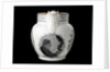 Jug with moulded lip and loop handle by Collingwood Bros. Ltd.