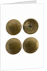 Buttons by unknown