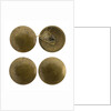 Buttons by unknown