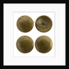 Buttons by unknown