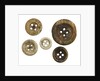 Buttons by unknown