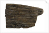 Wood by unknown