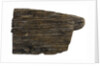 Wood by unknown