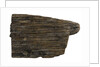 Wood by unknown