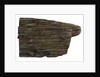 Wood by unknown