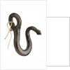 Boat sheet hook by unknown