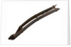 Shovel by unknown