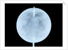 Globe x-ray by John Cary