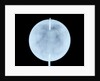 Globe x-ray by John Cary