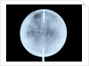 Globe x-ray by John Cary