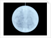 Globe x-ray by John Miller
