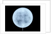 Globe x-ray by John Miller