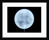 Globe x-ray by John Miller