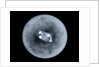 Globe x-ray by Charles Price
