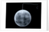 Globe x-ray by George Adams