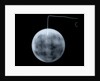 Globe x-ray by George Adams