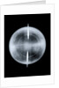 Globe x-ray by Nicolas Lane